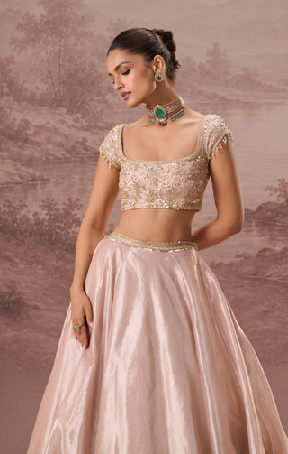 Pink pankhuri lehenga set