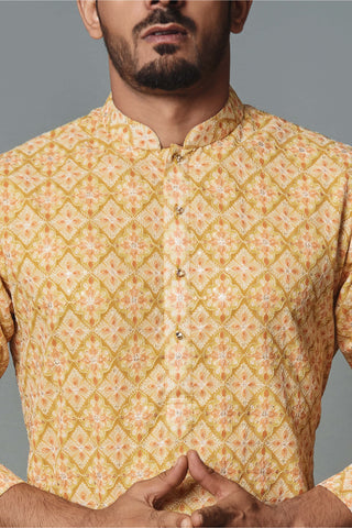Chatenya Mittal-Mustard Thread Embroidered Kurta And Pants-INDIASPOPUP.COM