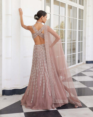 Charu & Vasundhara-Sasha Salmon Pink Lehenga Set-INDIASPOPUP.COM