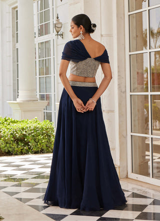 Charu & Vasundhara-Selie Navy Blue Draped Blouse And Skirt-INDIASPOPUP.COM