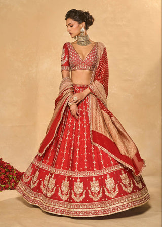 Mohini red lehenga set