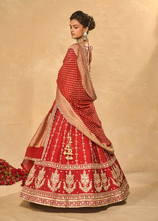 Mohini red lehenga set