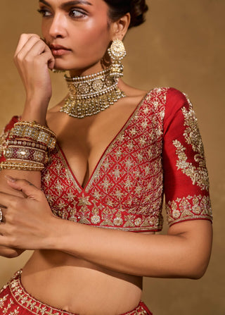 Mohini red lehenga set