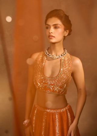 Maple multicolor lehenga set