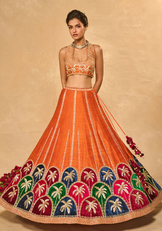 Maple multicolor lehenga set