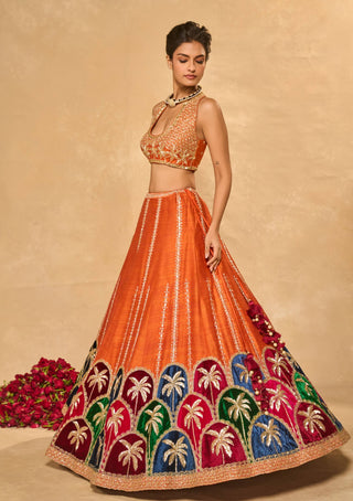 Maple multicolor lehenga set