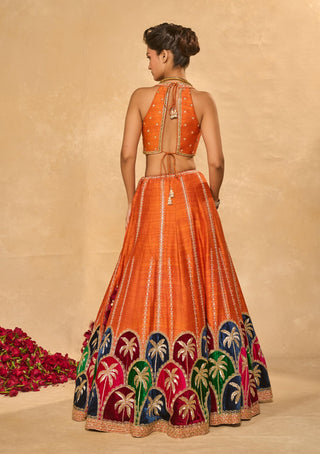 Maple multicolor lehenga set