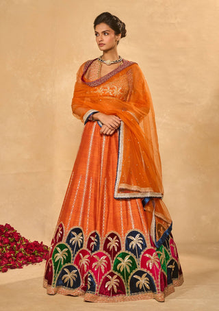 Maple multicolor lehenga set