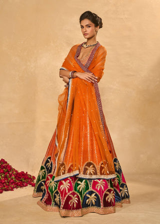 Maple multicolor lehenga set
