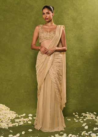 Aaliyah beige sari with blouse