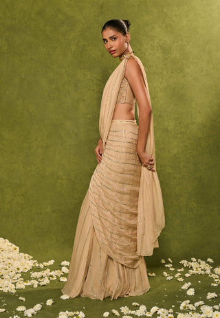Aaliyah beige sari with blouse