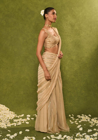Aaliyah beige sari with blouse