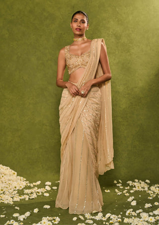 Aaliyah beige sari with blouse