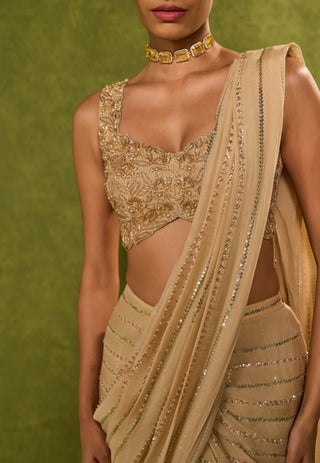 Aaliyah beige sari with blouse