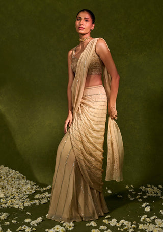 Aaliyah beige sari with blouse
