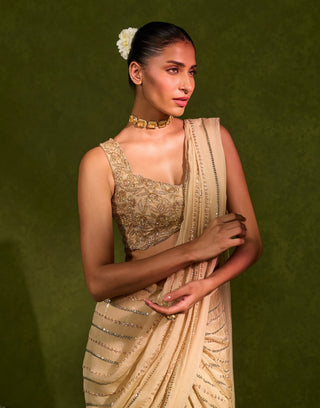 Aaliyah beige sari with blouse