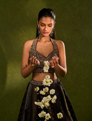 Nandana black lehenga set