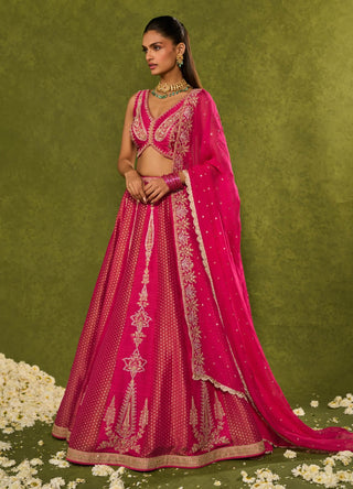 Ambi pink lehenga set