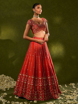 Anandi red lehenga set