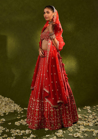 Anandi red lehenga set