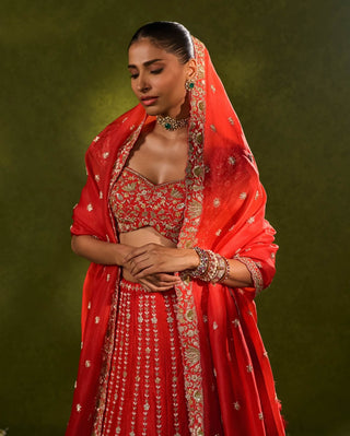Anandi red lehenga set