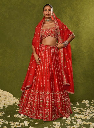 Anandi red lehenga set