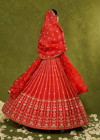 Anandi red lehenga set