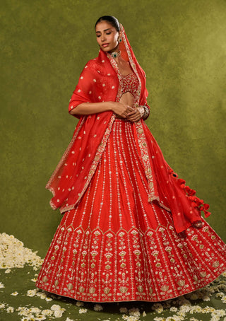 Anandi red lehenga set