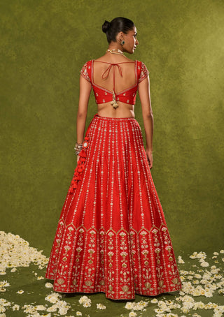 Anandi red lehenga set