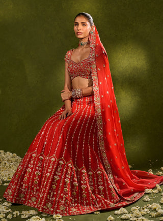 Anandi red lehenga set