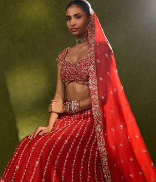 Anandi red lehenga set