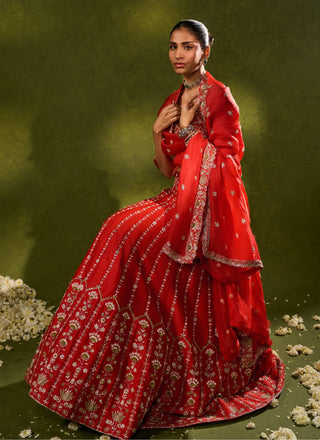 Anandi red lehenga set