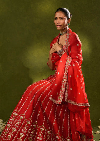 Anandi red lehenga set