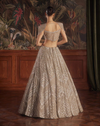 Caeli taupe gray lehenga set