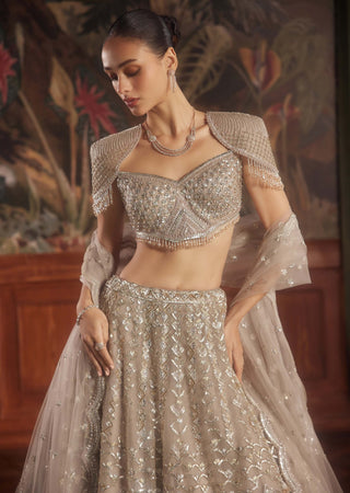 Caeli taupe gray lehenga set