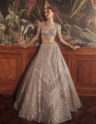 Caeli taupe gray lehenga set