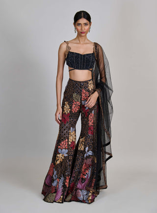 Dianthus black sharara set