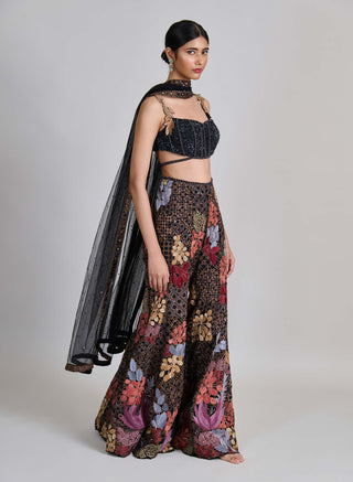 Dianthus black sharara set