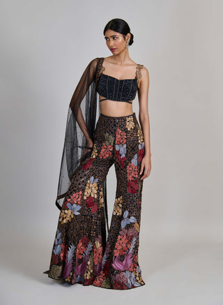 Dianthus black sharara set