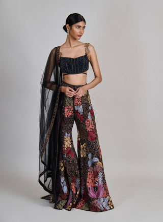 Dianthus black sharara set