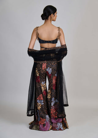 Dianthus black sharara set