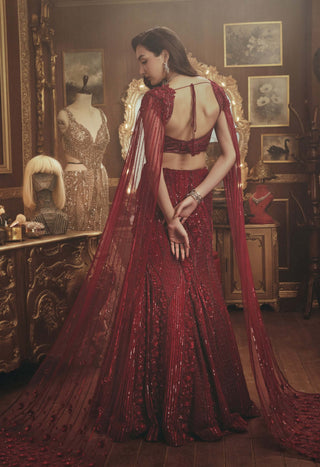 Clara red lehenga set