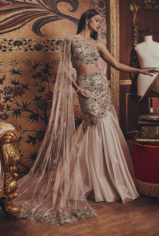 Constance silver lehenga set