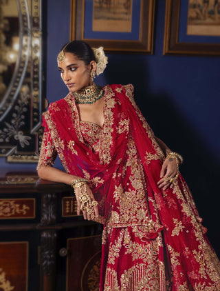 Vertically dual-shaded gold lehenga set