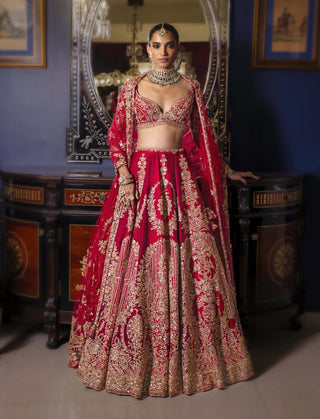 Vertically dual-shaded gold lehenga set