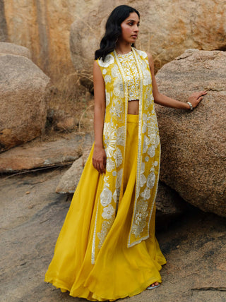Mishru-Yellow Delilah Jacket And Skirt Set-INDIASPOPUP.COM