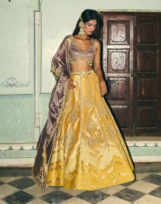 Mustard yellow zari tissue lehenga set