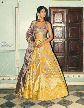 Mustard yellow zari tissue lehenga set