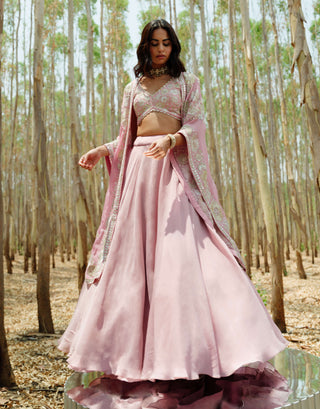 Muted pink trey cape and skirt set