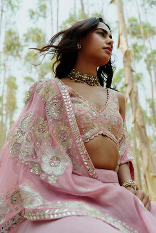Mishru-Muted Pink Trey Cape And Skirt Set-INDIASPOPUP.COM
